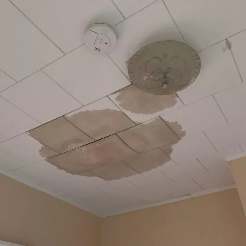 Ceiling Water Damage Repair in Manchester, OH