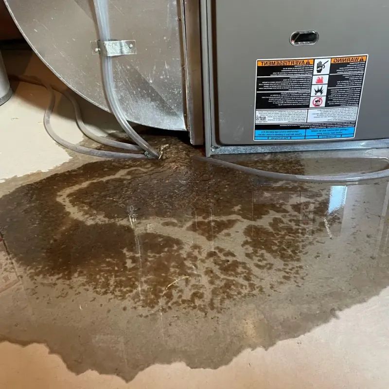 Pipe Burst and Leak Restoration in Manchester, OH