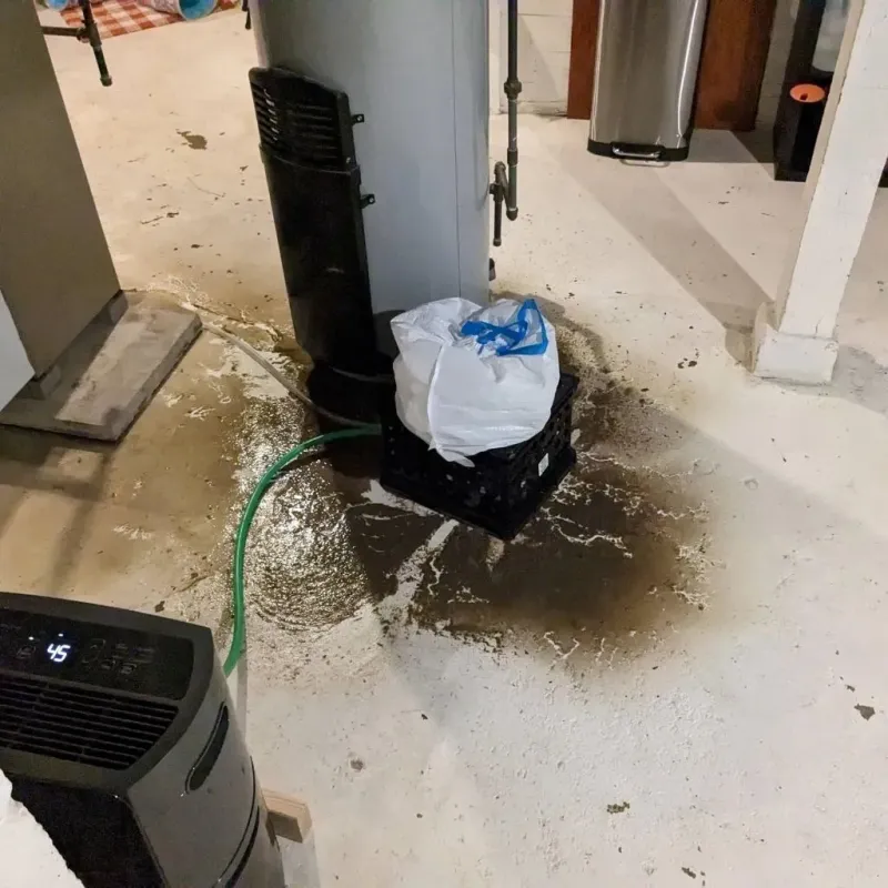Sewage Backup Cleanup Service in Manchester, OH